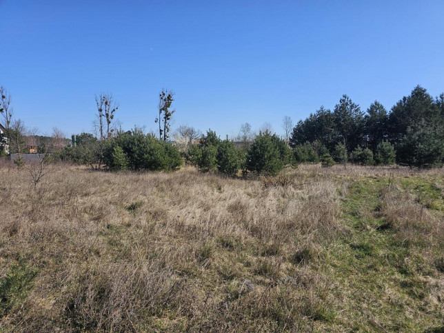 Działka Sprzedaż Łochowo Spacerowa 3