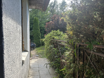 Działka Sprzedaż Borówno Słoneczna