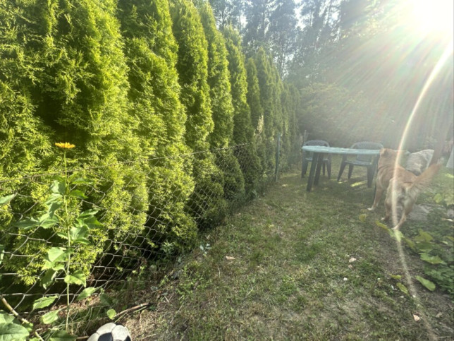Działka Sprzedaż Borówno Słoneczna 6
