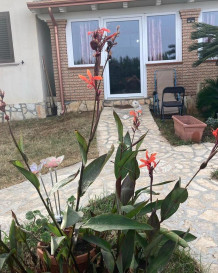 Dom Sprzedaż Kalabria, Włochy Capo Piccolo
