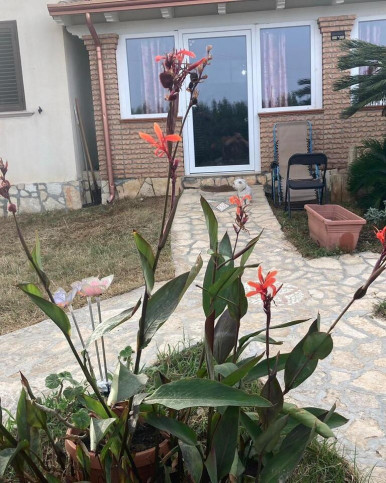 Dom Sprzedaż Kalabria, Włochy Capo Piccolo 5